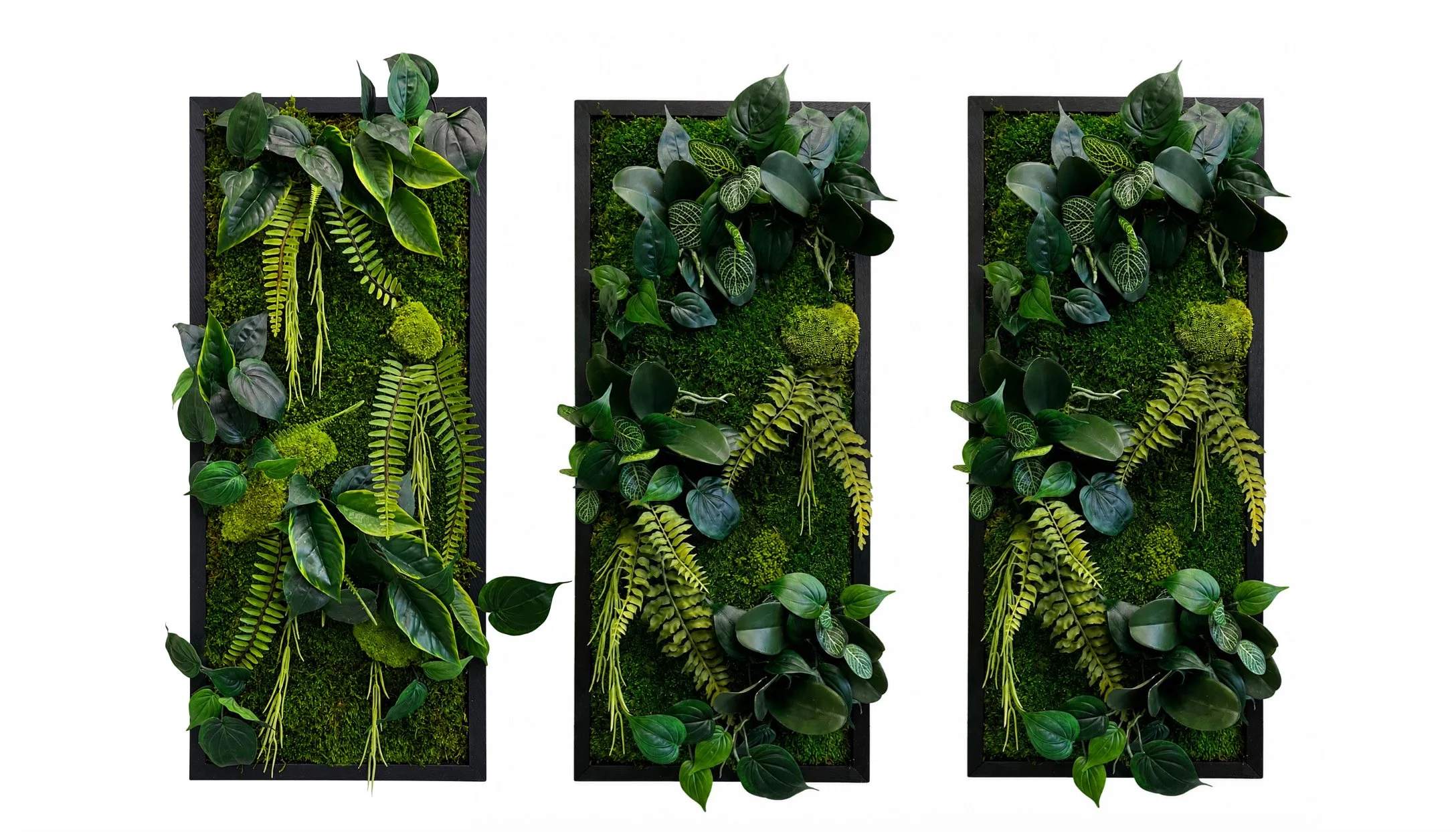 Moss Home Decor — PLANTHROPY